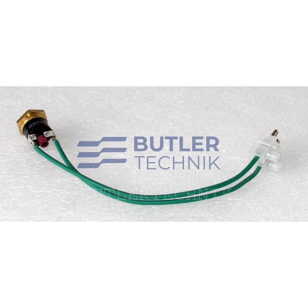 Webasto DBW Overheat Thermostat 117deg | 408719 | 1319410A 