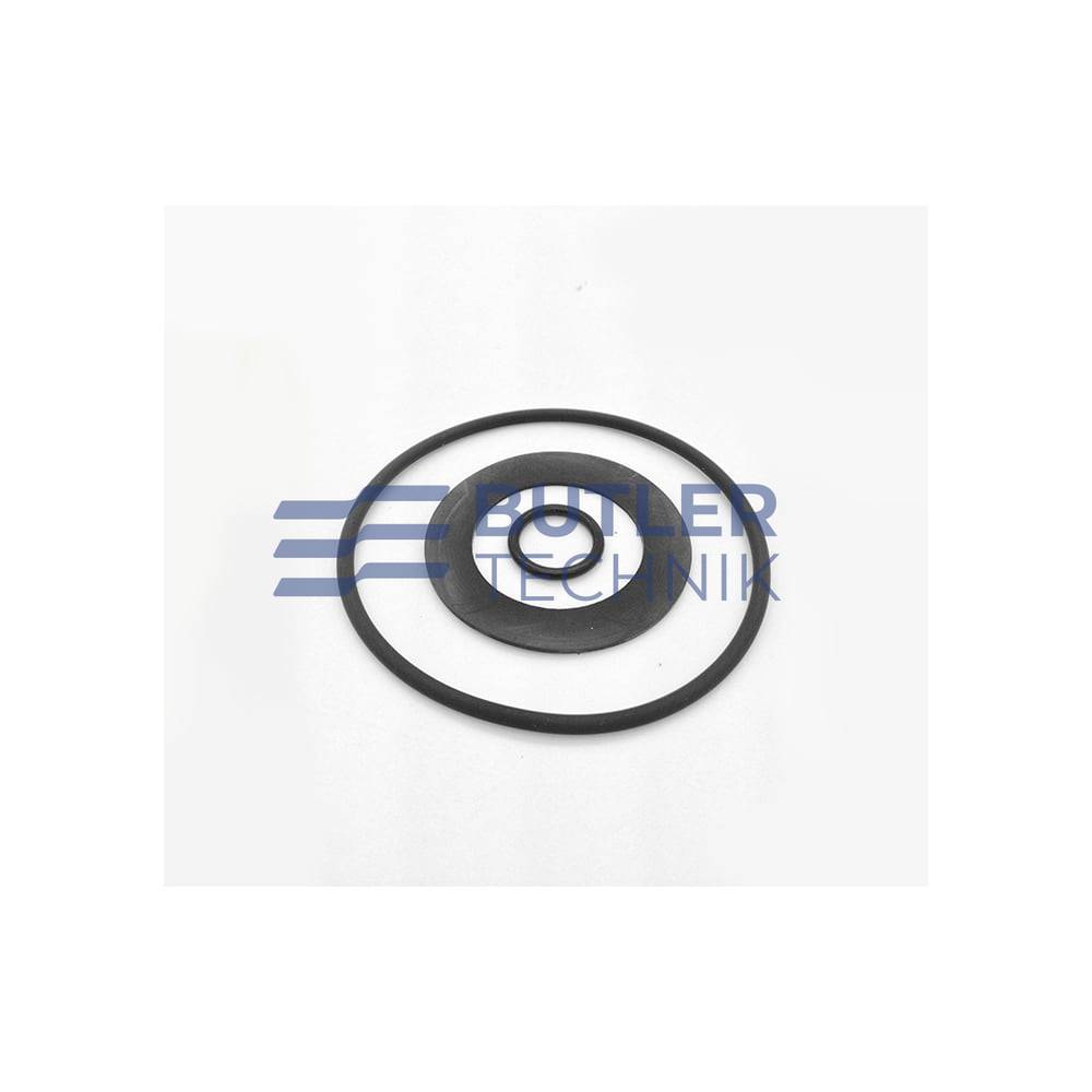 Webasto Heater Fuel Filter Seal Set | 4111740A 