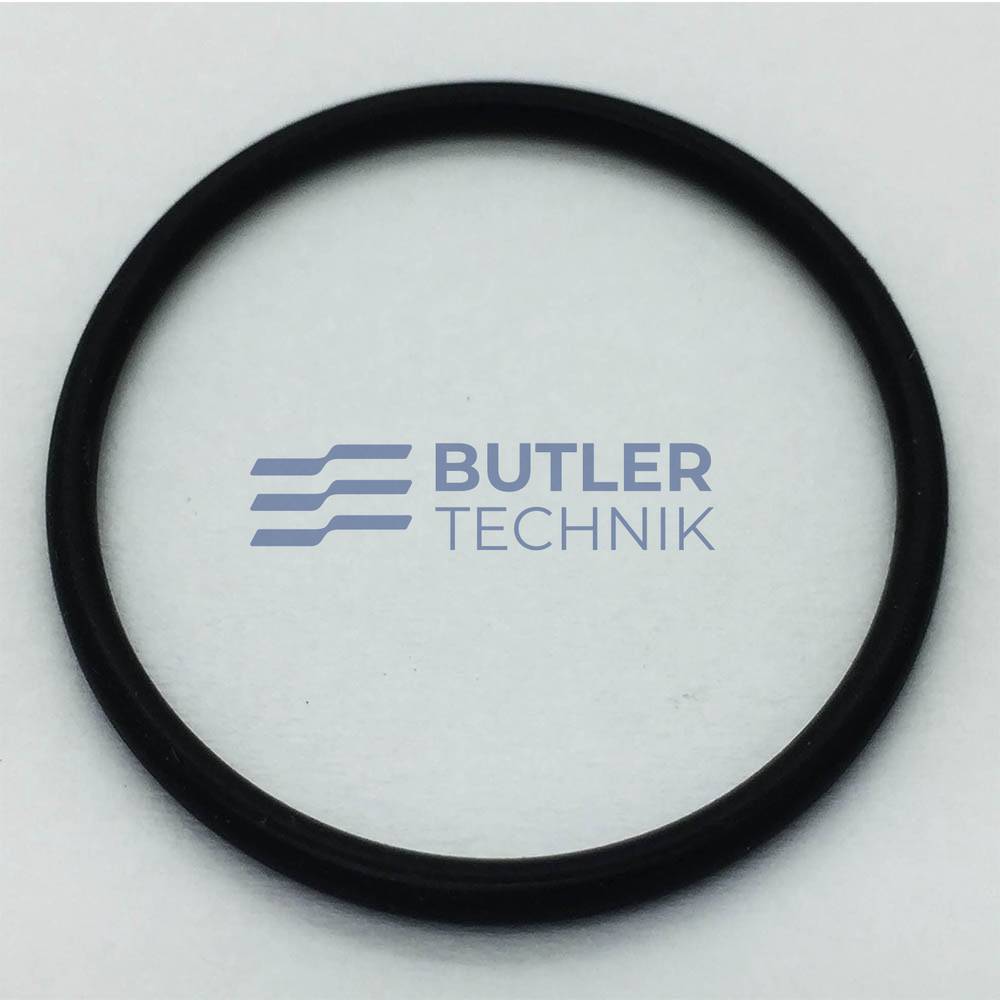 Webasto DBW300 fuel pump O-ring | 340995 