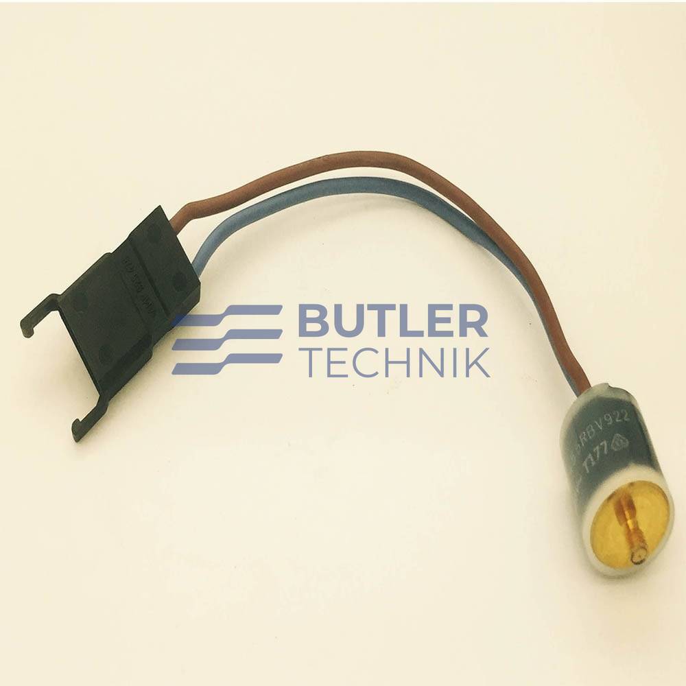 Webasto DBW 2010 Heater Fan control switch Thermostat 40 deg | 1319169A | 454443 