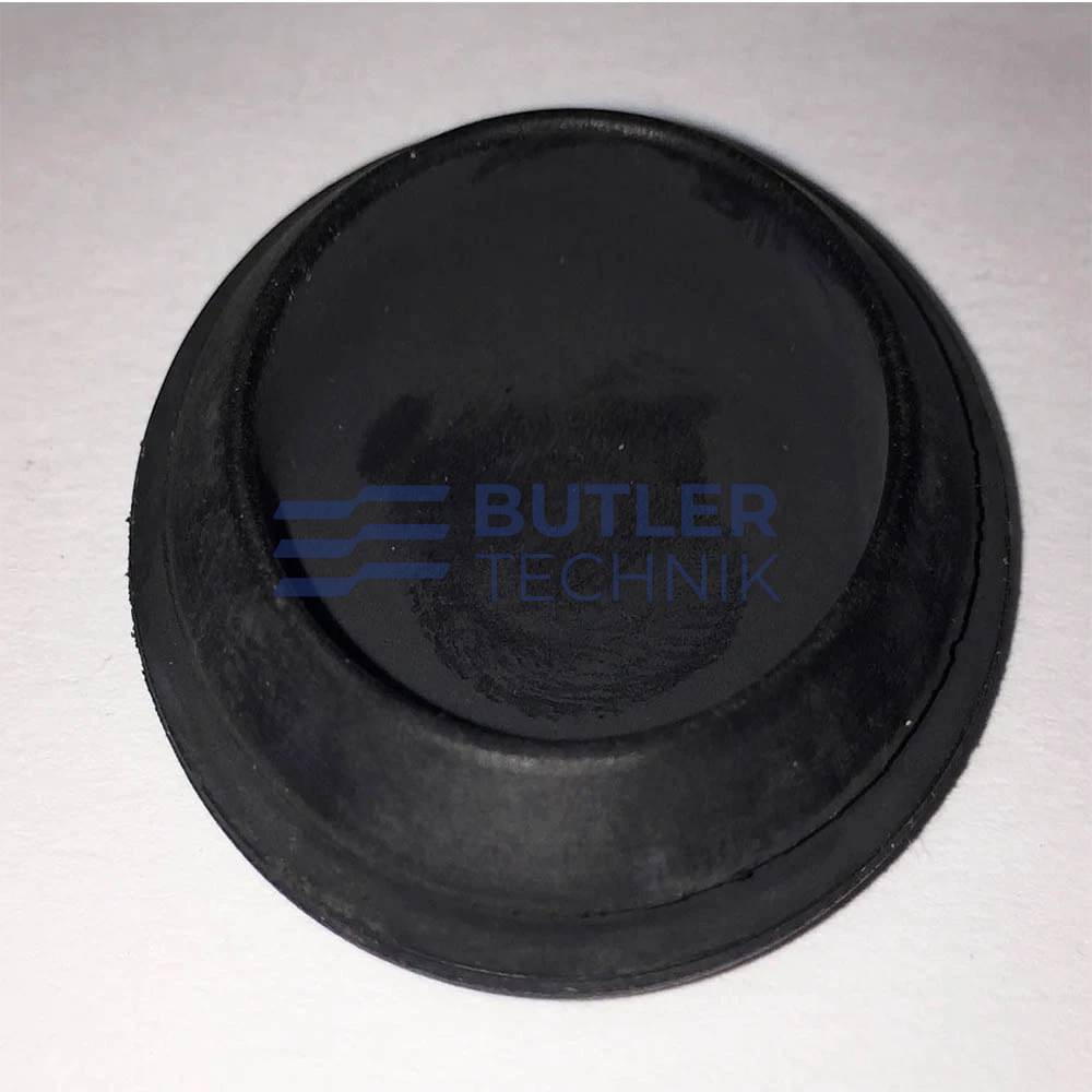 Webasto HL32 Overheat Switch Grommet | 484113