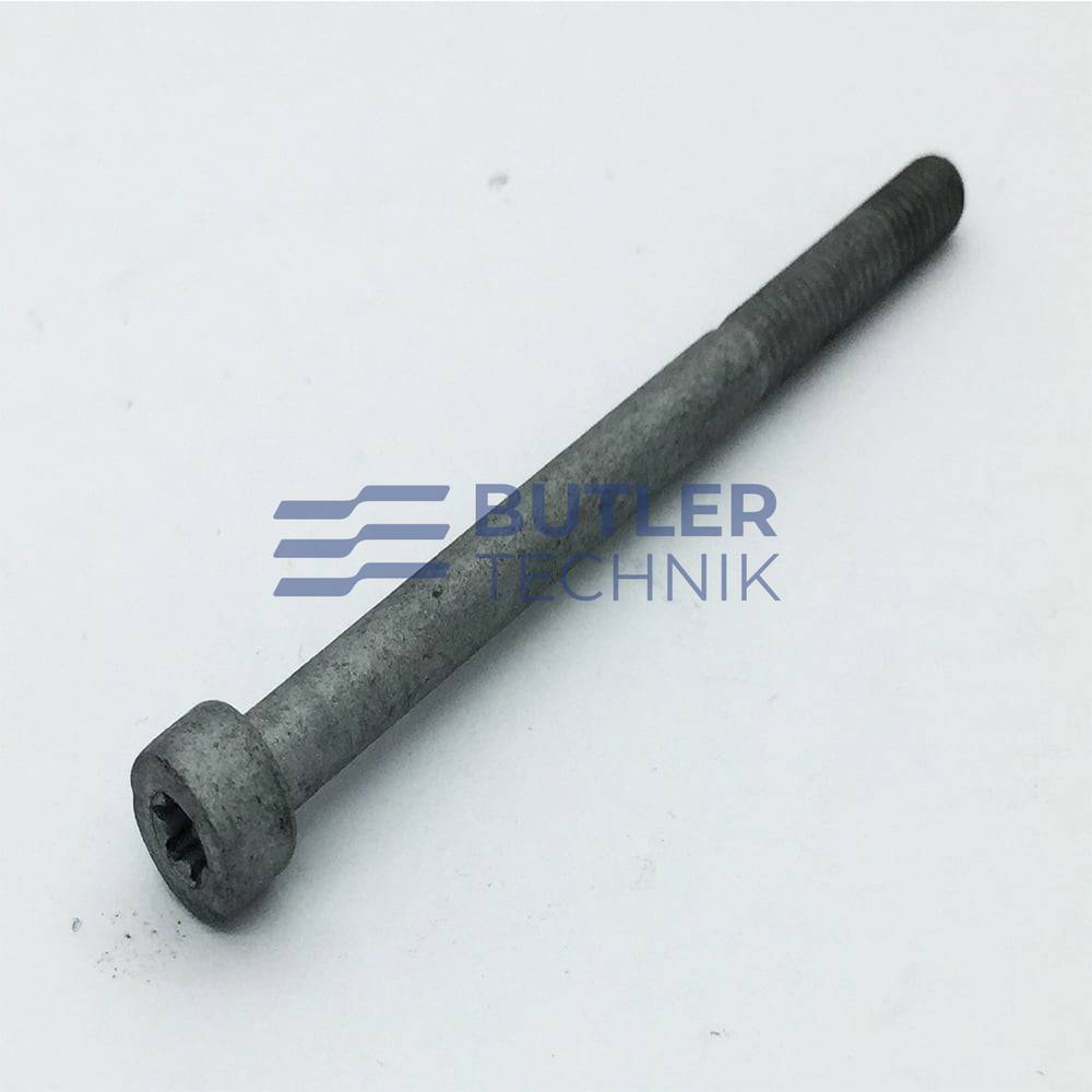 Eberspacher Screw Torx 65mm ECU 
