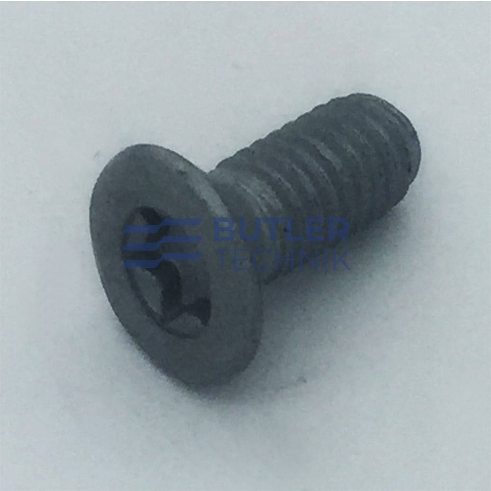 Eberspacher Screw M4 x 10 DIN 965 