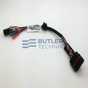 Webasto Adapter Harness - AT2000 to AT2000ST 