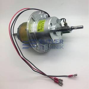 Webasto HL100 Air Heater Motor 24v | 497134 