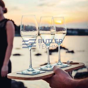 Silwy Magnetic Crystal Champagne Glasses with Nano-gel Coasters - Luxury set of 2 