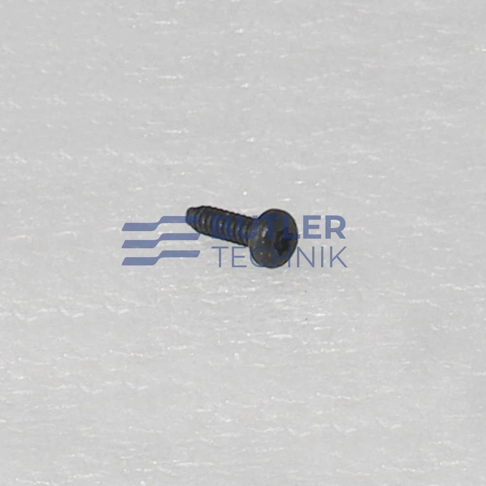 Webasto Air Top Torx Screw 