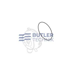 Webasto HL90 Gasket Ring | 1313722A 