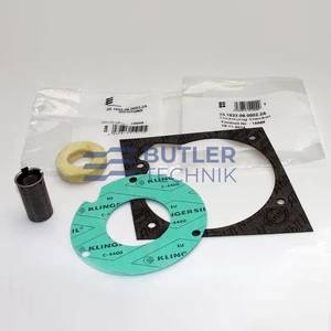 Eberspacher D3LC or D3LC Compact heater Service repair Kit 
