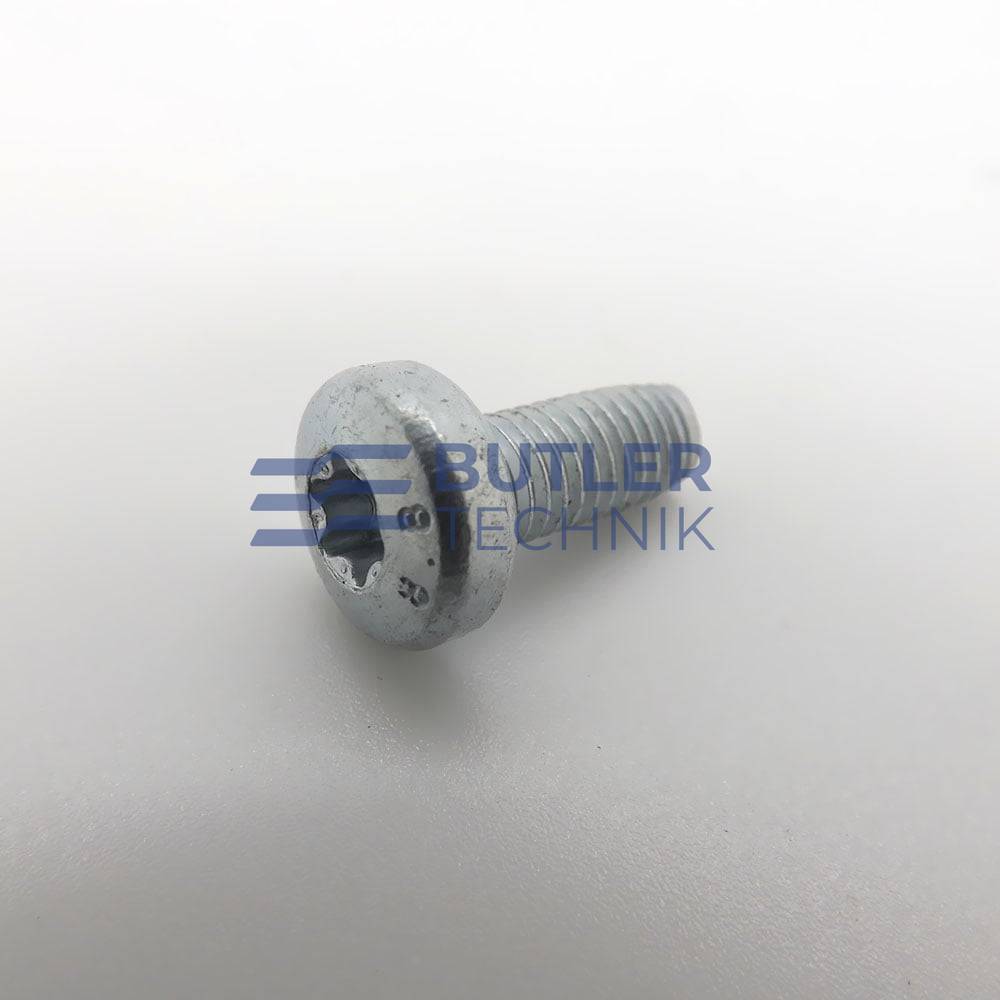Eberspacher Heater Torx Screw M5 x 12 | 10310348 