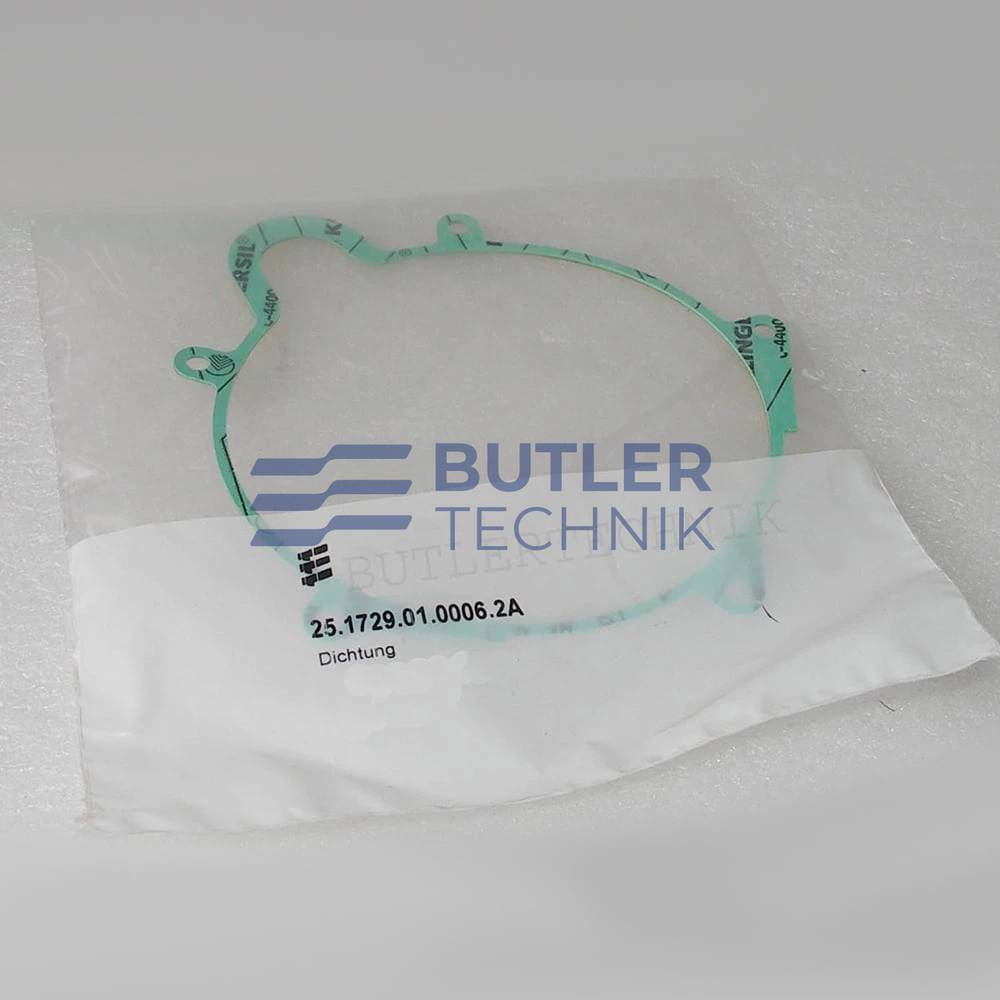 Eberspacher Heater D5LC Motor Gasket | 251729010006 