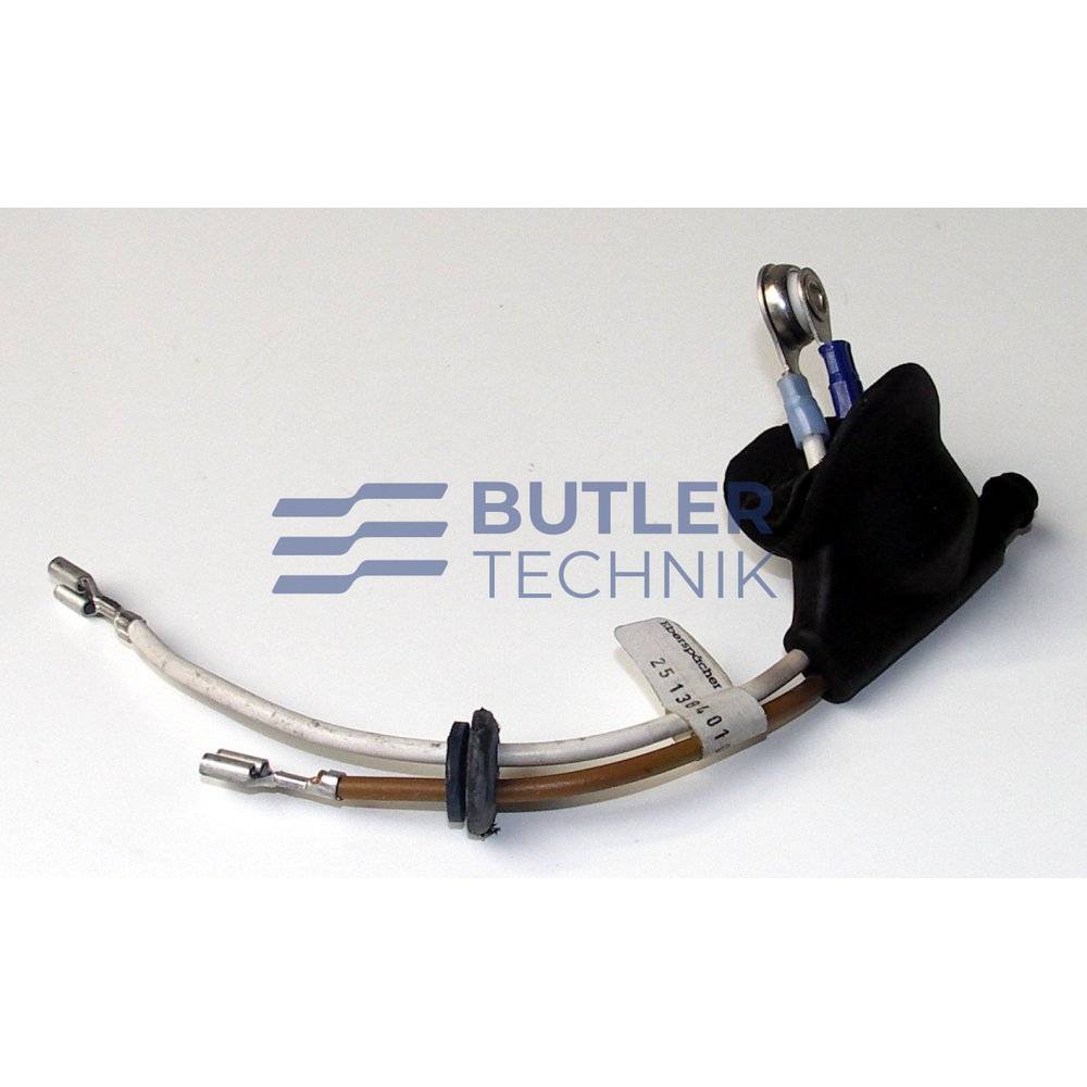 Eberspacher D1L heater glow plug cover and cable | 251384010200 