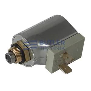 Webasto DBW Solenoid Valve 24v | 322091 