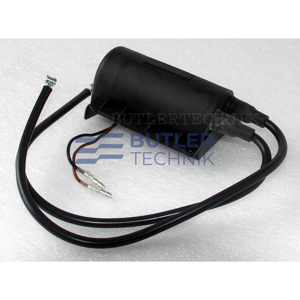 Webasto DBW Electrode Plug | 326666 | 1319705A | Butler Technik