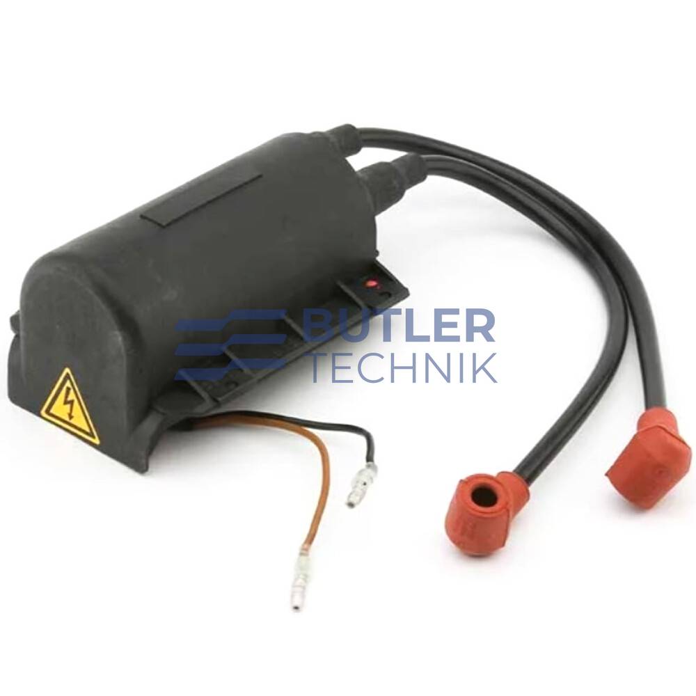 Webasto DBW 2010 Ignition coil 12v | 1320225A | 101838 