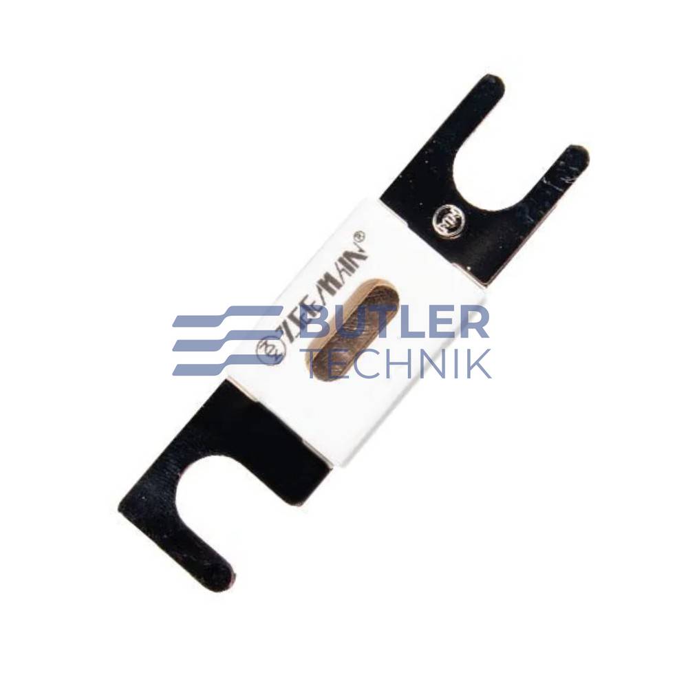 Victron Energy 300A ANL Fuse 80V DC - single | CIP143300020