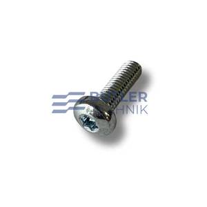 Eberspacher Airtronic D5 Burner Plate Bolt M5 x 16mm | 10309011 