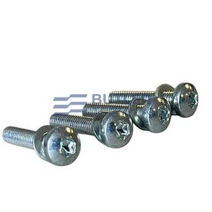 Webasto Eberspacher Espar Heater Motor Screw M5 x 25mm Bolt Set (4 Bolts & 4 Washers) 