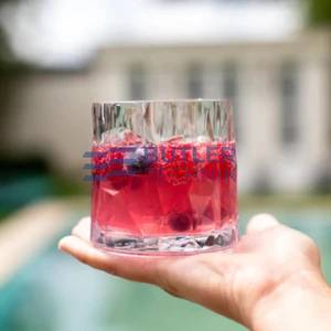 Koziol Plastic Whiskey Glass for Boat Camper 250ml Set of 2