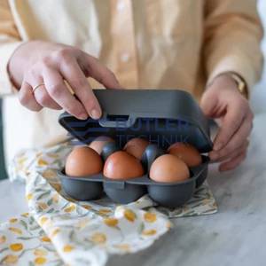 Koziol Egg Box for Boat Camper EGGS TO GO MINI - Nature Ash Grey 