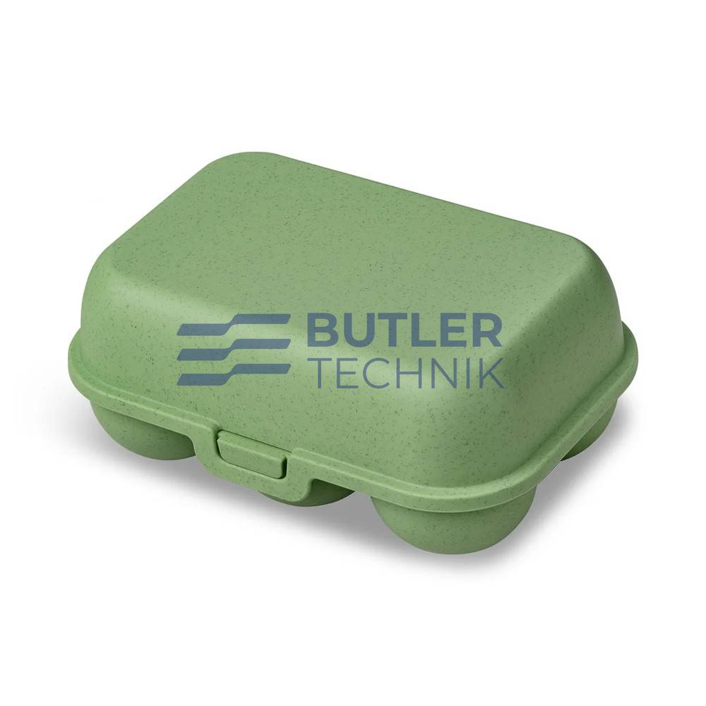 Koziol Egg Box for Boat Camper EGGS TO GO MINI Nature Leaf Green 