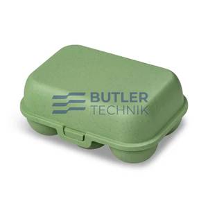Koziol Egg Box for Boat Camper EGGS TO GO MINI Nature Leaf Green 