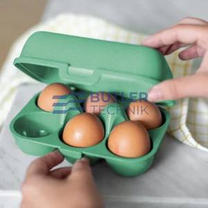 Koziol Egg Box for Boat Camper EGGS TO GO MINI Nature Leaf Green 